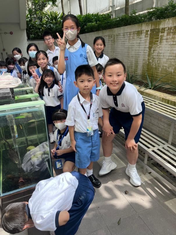 本頁圖片/檔案 - 大哥哥大姐姐計劃15