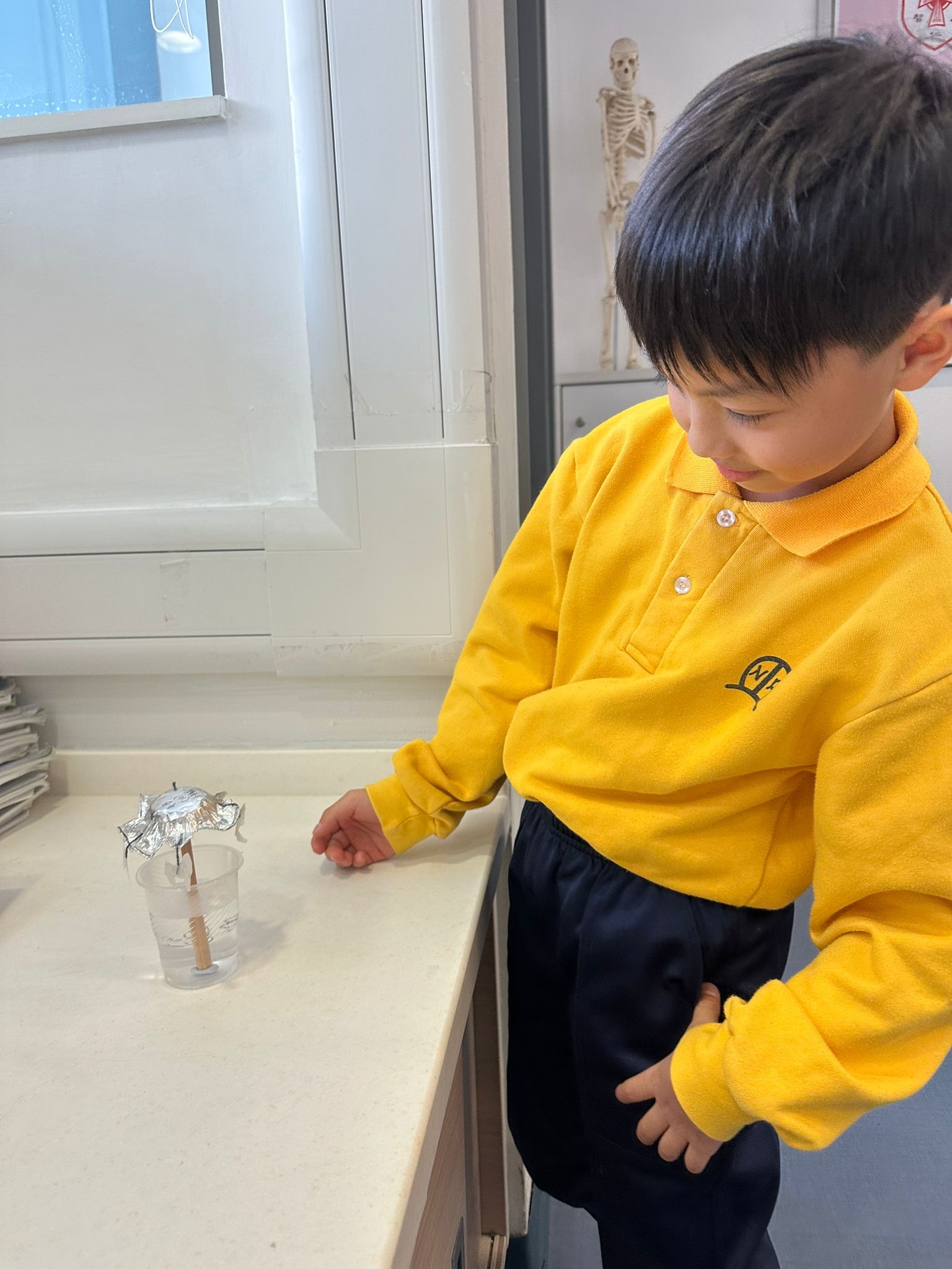 本頁圖片/檔案 - P4STEM_01