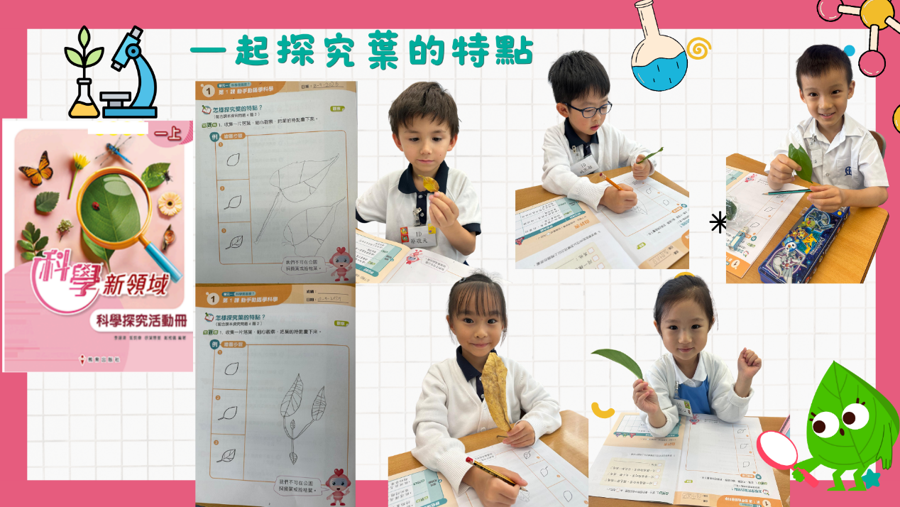 本頁圖片/檔案 - 一年級2