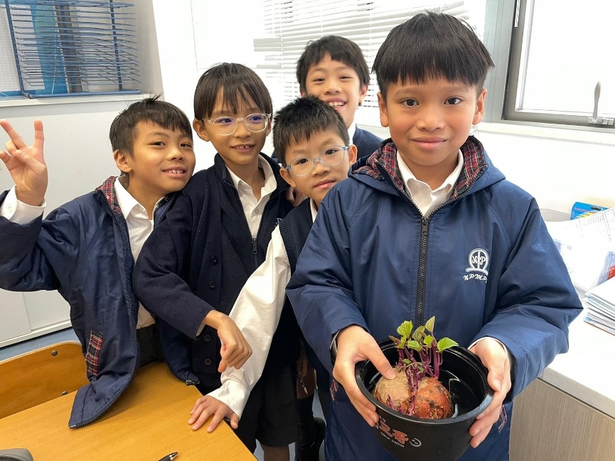 本頁圖片/檔案 - 四年級科學種植日誌2